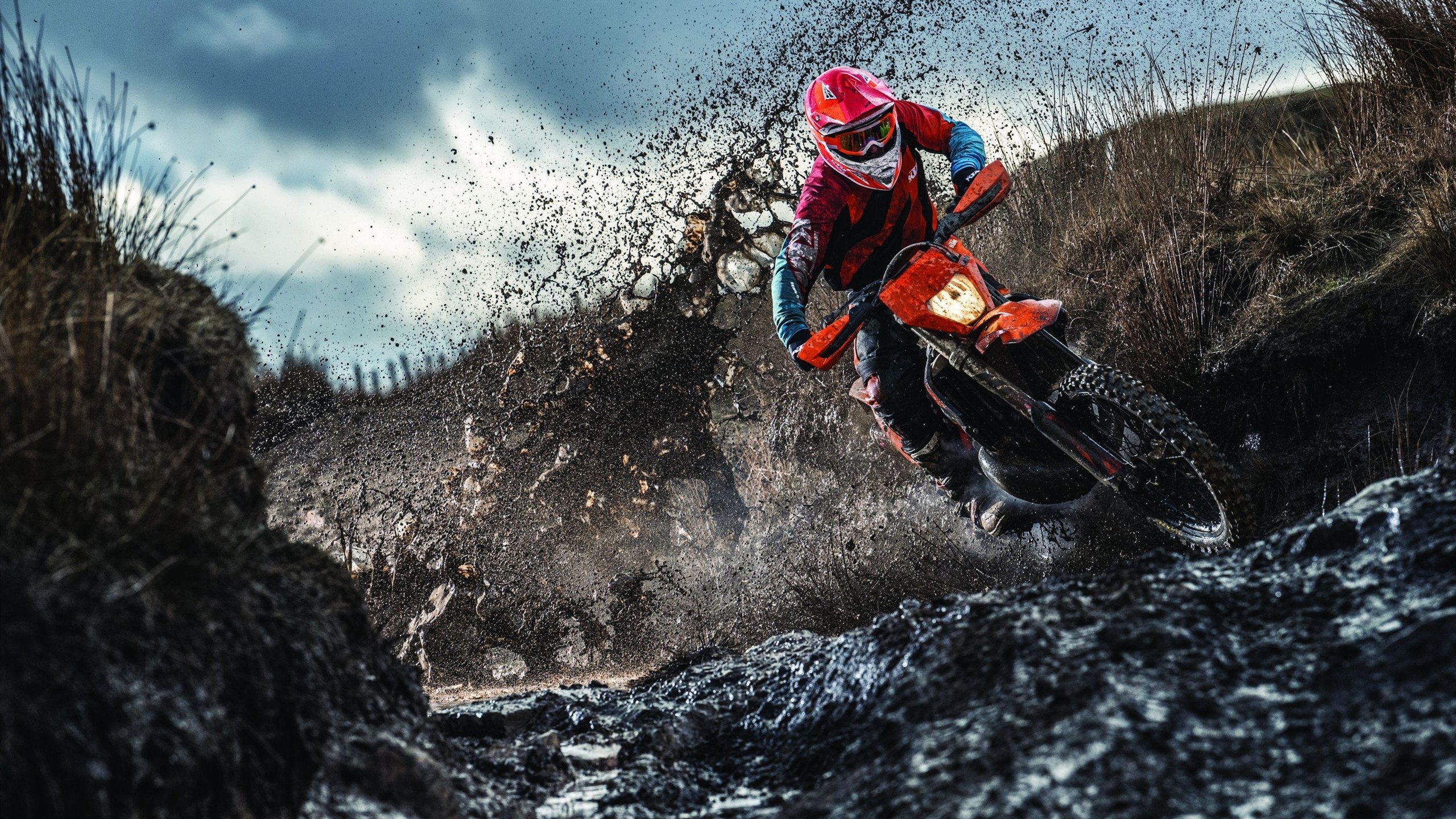 逆袭之夜，奥地利足球的奇迹与樊振东的乒乓风暴